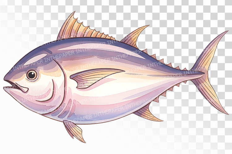Cute Tuna Fish Marine Animal PNG Summer Sea Mackerel Ocean