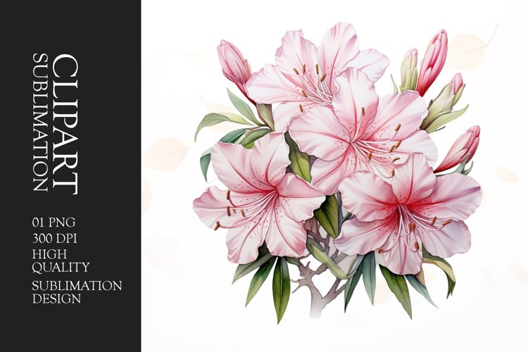 Flower Clipart Image 13