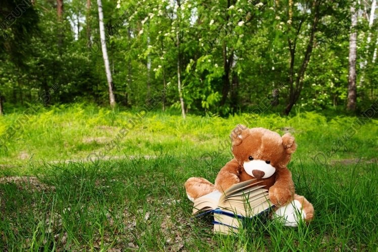 A Teddy bear reading book on green grass example image 1