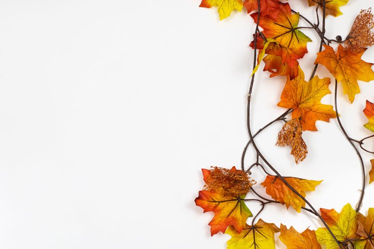 Fall Leaves Flat Lay