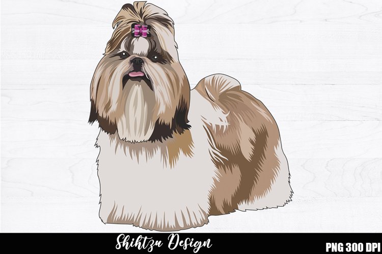 Shihtzu Sublimation, Shihtzu PNG design