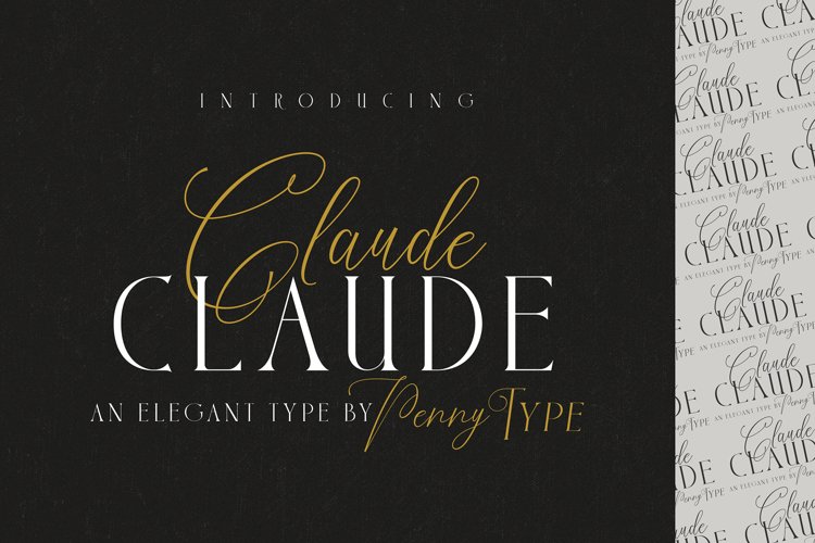Claude Font Duo example image 1