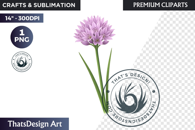 Flower Clipart PNG, Botanical Illustration Floral graphic
