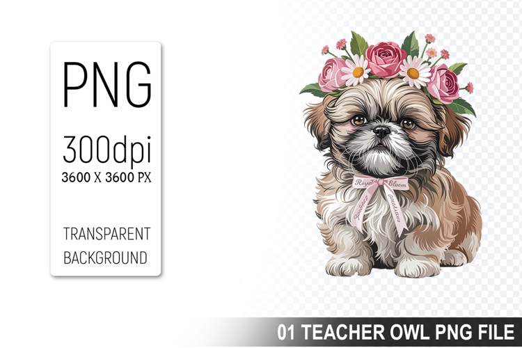 Pet Illustration Image 9