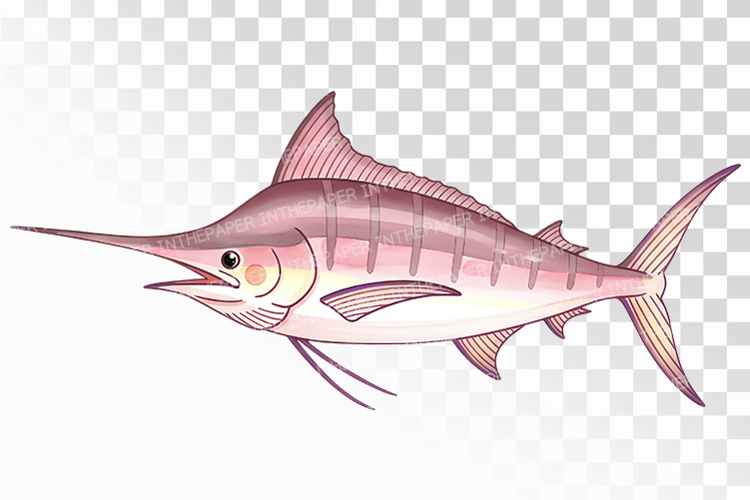 Cute Bluefin Tuna Ocean Fish PNG Summer Sea Animal fishhook