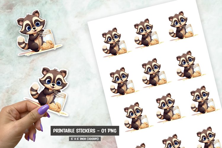 Raccoon Illustration Image 2