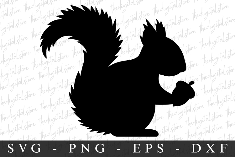 Squirrel Svg | Christmas svg | Svg cut file