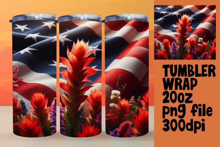 Usa Flag Png Image 19