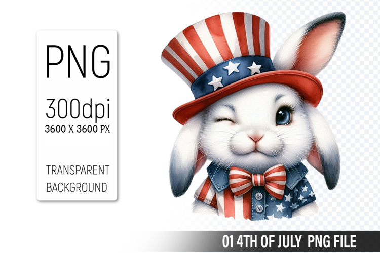 American Flag Png Image 21