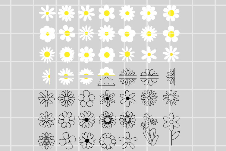 Daisy SVG, png clipart. Daisy flowers svg, eps, vector.