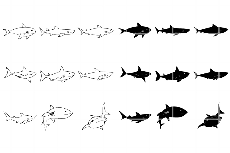 Shark SVG. Shark png. Shark clipart. Shark cut file.