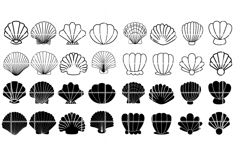 Seashell SVG. Seashell png, cut file, clipart, cricut, eps.