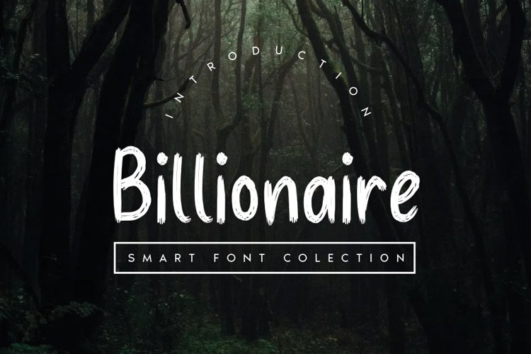 Billionaire example image 1