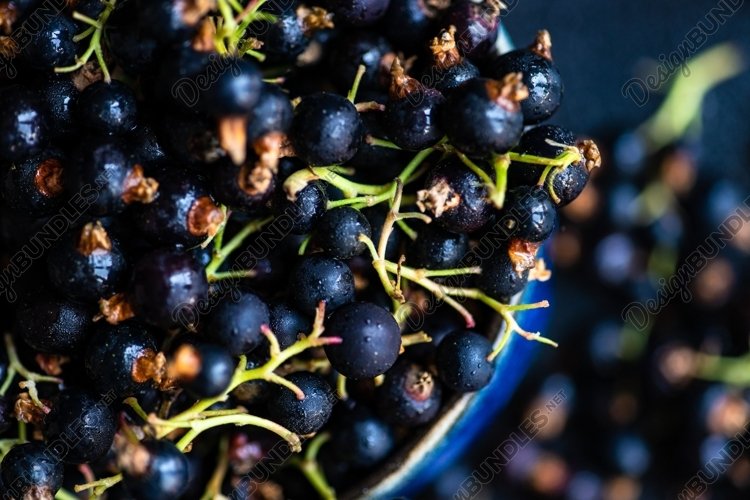 Organic currant berries in a bowl