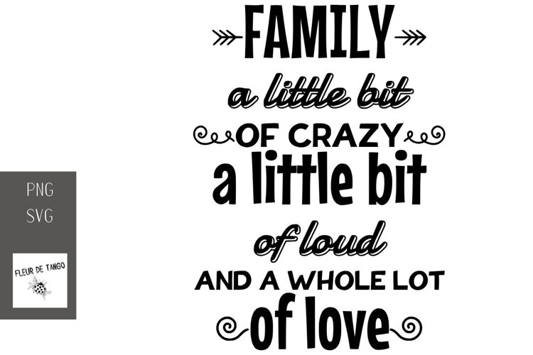 FAMILY a little bit of crazy a little bit of loud and a whol example image 1