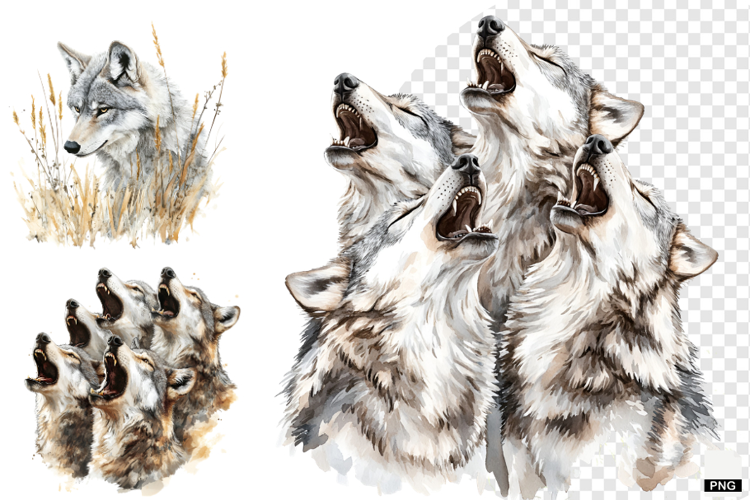 Winter Gray Wolves Clipart