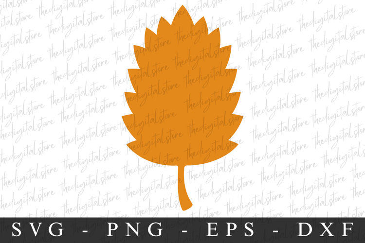 Leave Svg | Fall Svg | Svg Cut File