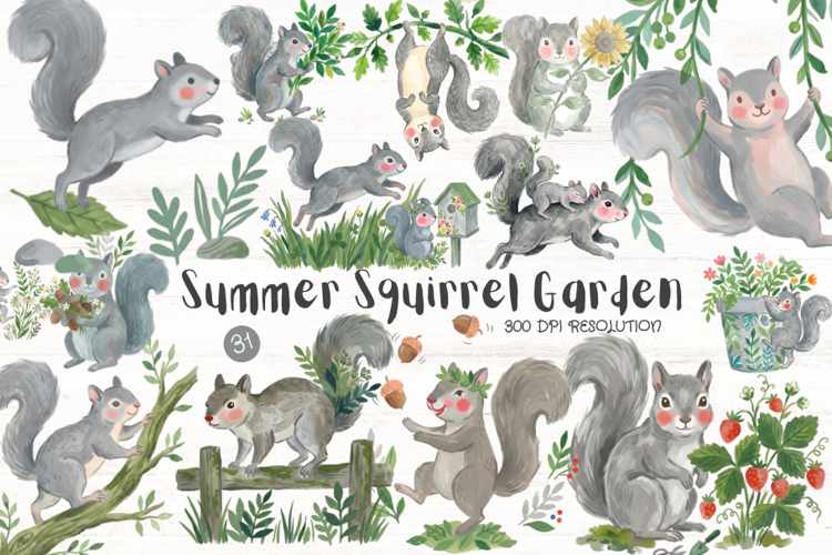 Summer Squirrel Garden Clipart example image 1
