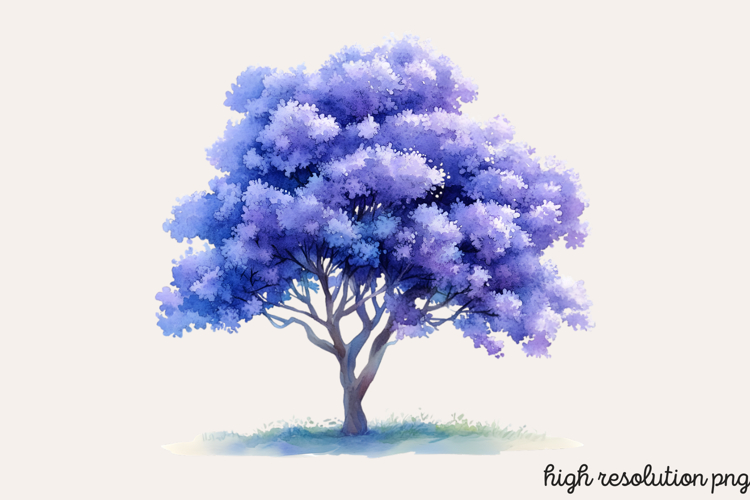 Baum Png Image 12