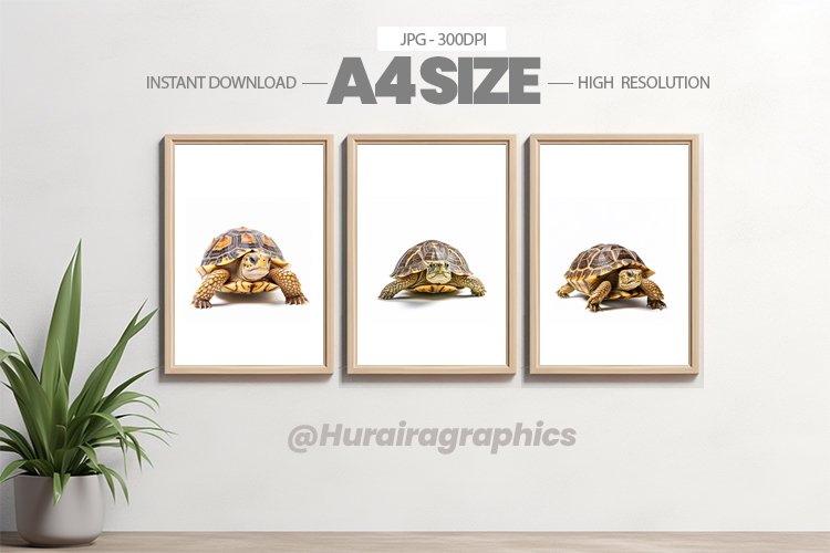 Animal Wall Art - 03 Variations
