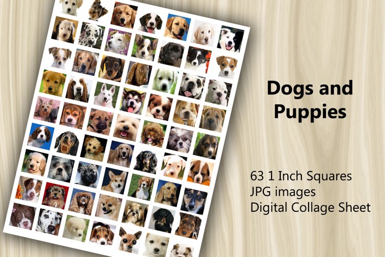 Puppy Clipart Image 23