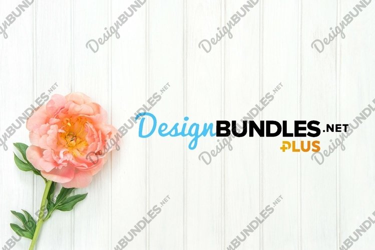 Pink Background Image 2