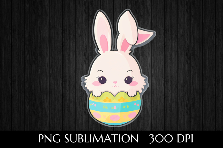 Rabbit Illustration Image 10