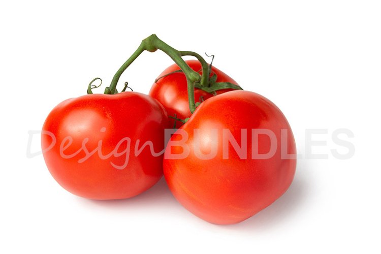 Rip Clipart Image 7
