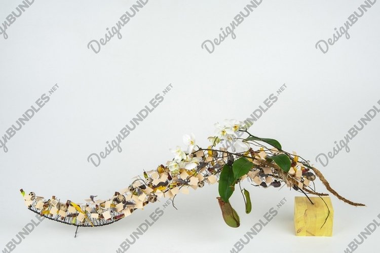Celebration Background Image 4