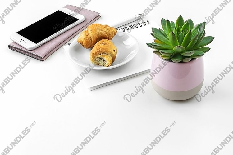 Feminine Styled Stock Photo, Feminine Styled Desktop Mockup