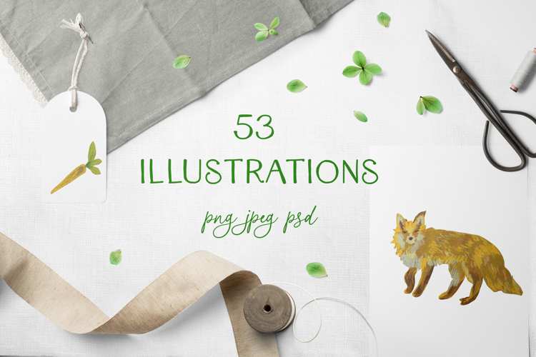 Crayon Wildlife Clipart Set Woodland Animals Birds & Insects