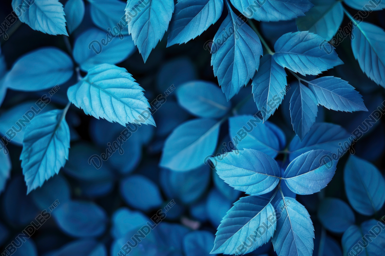 Leaves Texture Background Wallpaper