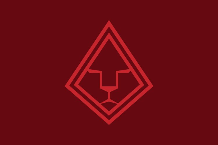 triangle lion face logo and abstract logo example image 1