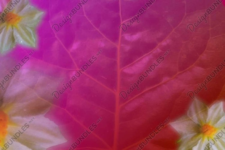 Wedding Vector Image 22