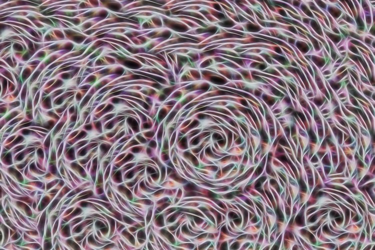 Pink Background Image 8