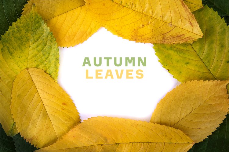 Fall Clipart Image 7