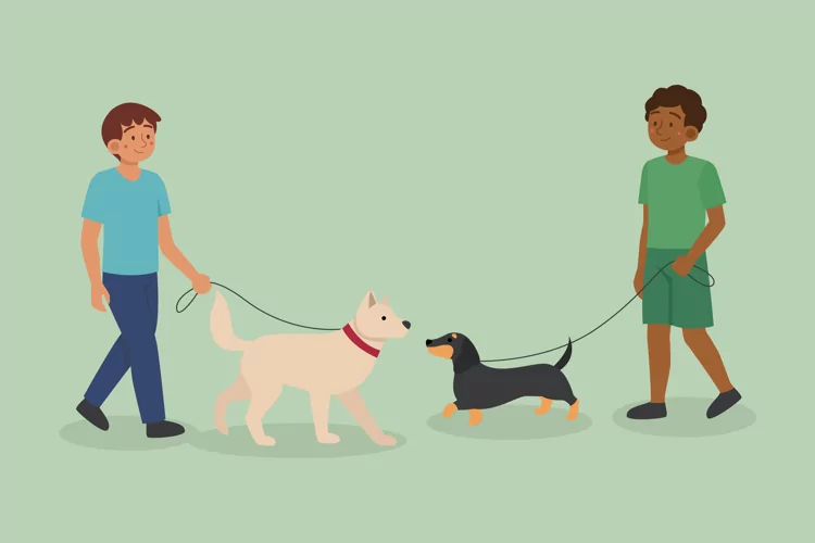 People Walking the Dog
