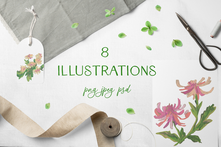 Chrysanthemum Clipart