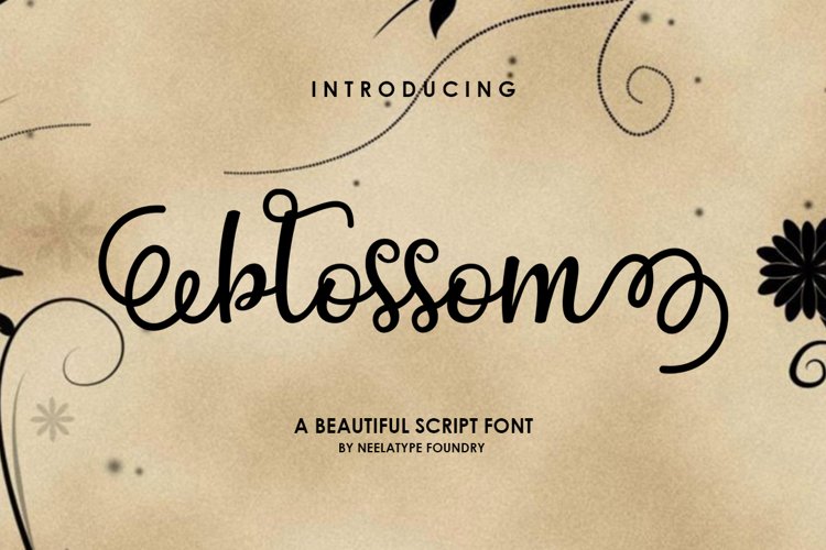 Blossom Script example image 1
