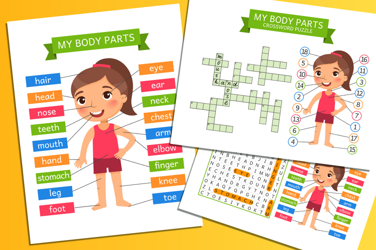 My Body Parts. Fun Learning Worksheets