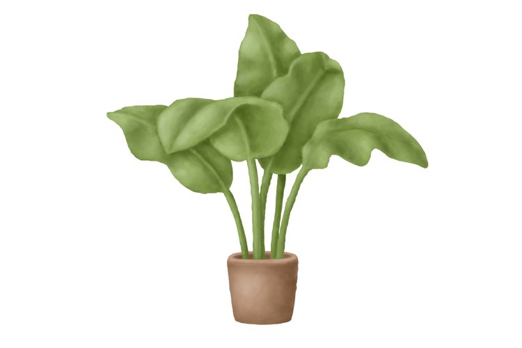 Greenery Clipart Image 11