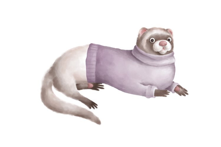 Ferret Clipart Image 17