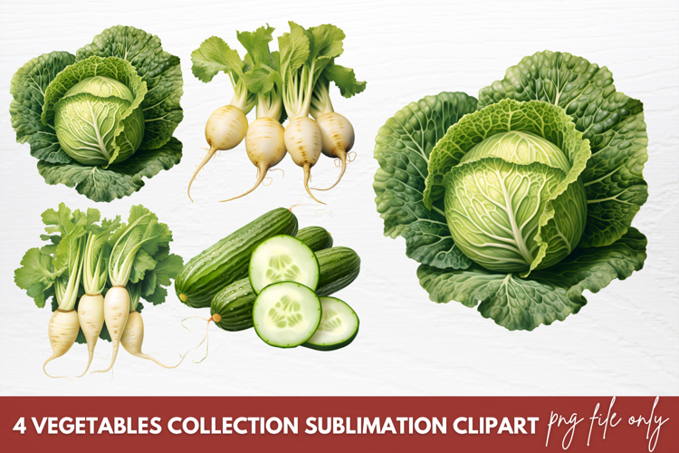 Vegetables PNG Image 4