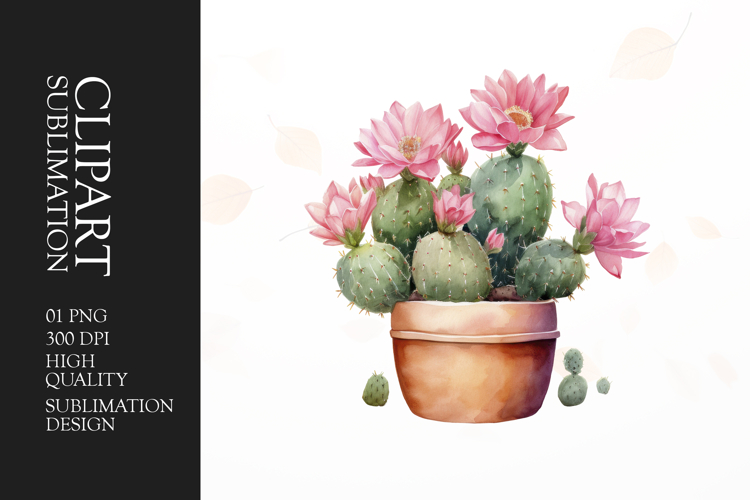 Watercolor Cactus Clipart Image 18