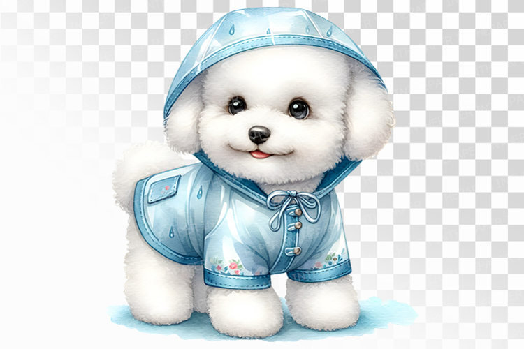 Watercolor Bichon Frise Puppy in Blue Raincoat with Hood PNG