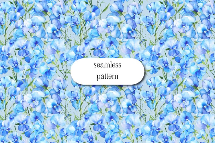 Sweet Pea Floral - Seamless Pattern Pea Flowers