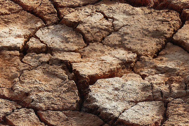 Dry Cracked Desert Earth Background
