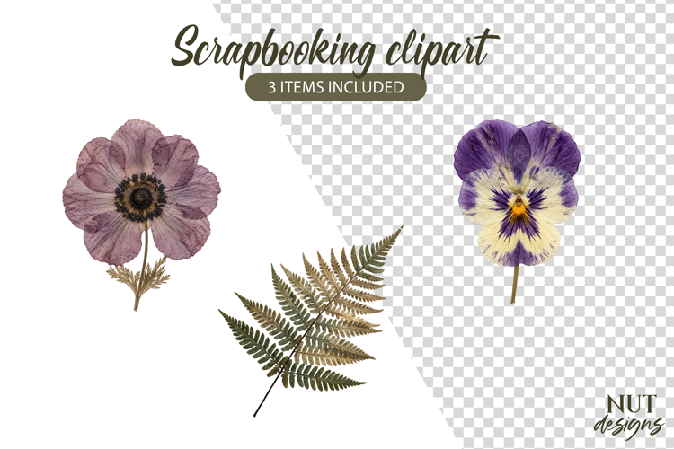 Pressed Flowers Clipart Fern Pansy anemone Scrapbooking