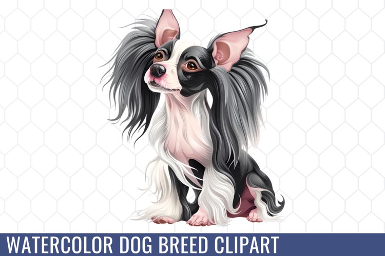 Spring Clipart Image 18