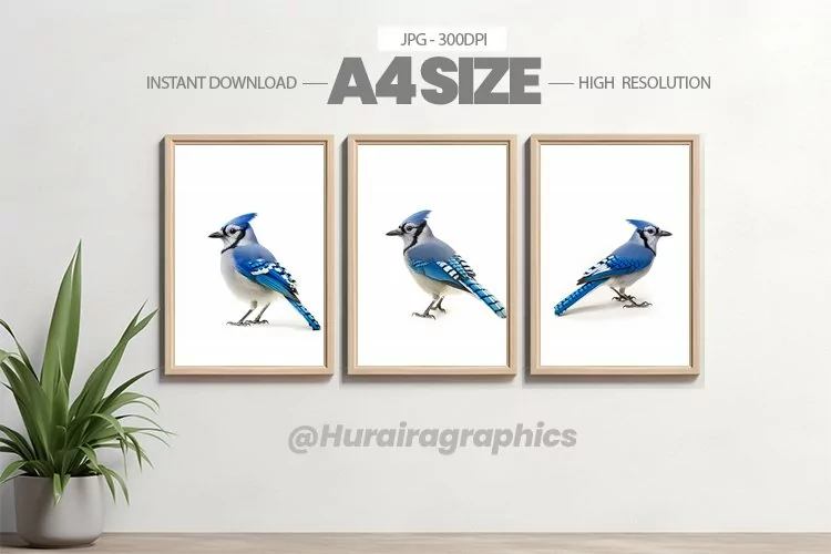 Bird Wall Art - 03 Variations